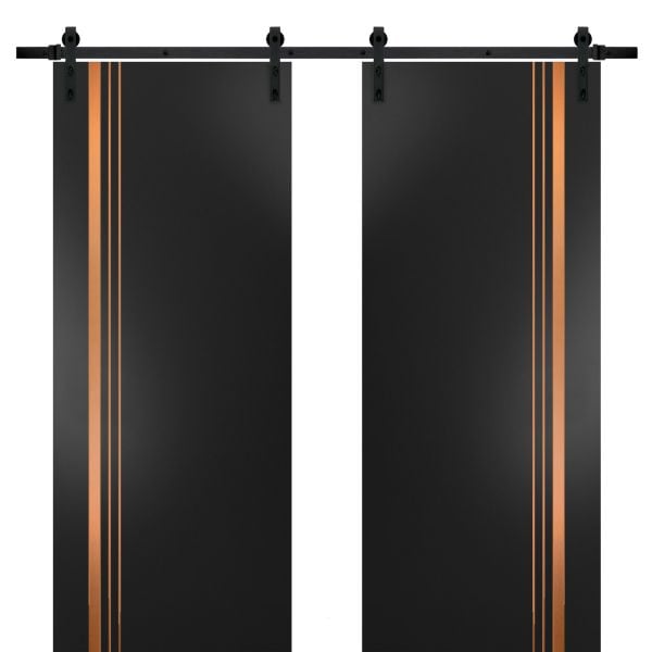 Sturdy Double Barn Door with Hardware | Planum 1010 Matte Black | 13FT Rail Hangers Heavy Set | Modern Solid Panel Interior Doors