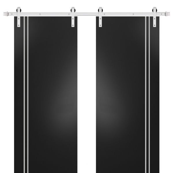 Sturdy Double Barn Door with Hardware | Planum 0310 Matte Black | Silver 13FT Rail Hangers Heavy Set | Modern Solid Panel Interior Doors