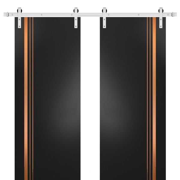 Sturdy Double Barn Door with Hardware | Planum 1010 Matte Black | Silver 13FT Rail Hangers Heavy Set | Modern Solid Panel Interior Doors 