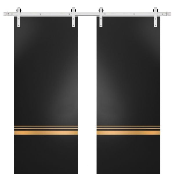 Sturdy Double Barn Door with Hardware | Planum 2010 Matte Black | Silver 13FT Rail Hangers Heavy Set | Modern Solid Panel Interior Doors 