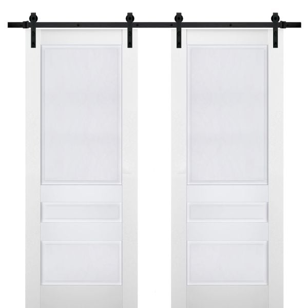Sturdy Double Barn Door | Veregio 7411 White Silk | 13FT Rail Hangers Heavy Set | Solid Panel Interior Doors-36" x 80" (2* 18x80)-Black Rail