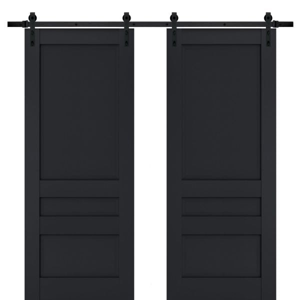 Sturdy Double Barn Door | Veregio 7411 Antracite | 13FT Rail Hangers Heavy Set | Solid Panel Interior Doors-36" x 80" (2* 18x80)-Black Rail