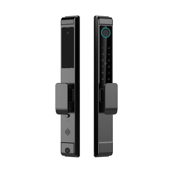 FingerPrint 055 Handle and Lock for Deux Ronex Door