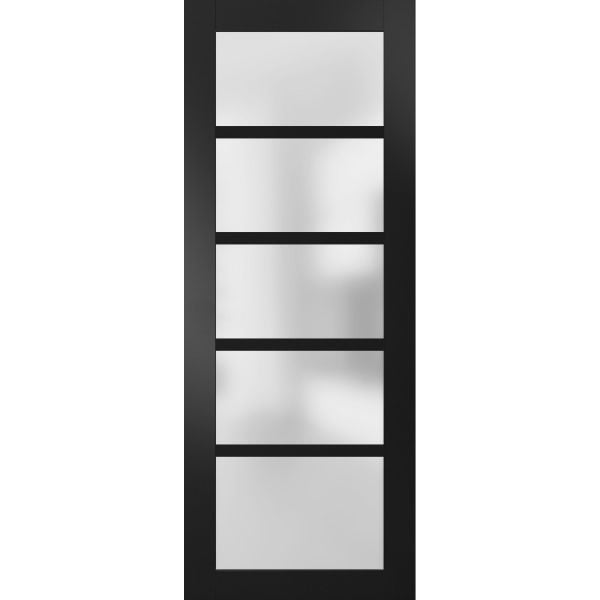 Slab Barn Door Panel Frosted Glass | Quadro 4002 Matte Black | Sturdy Finished Doors | Pocket Closet Sliding