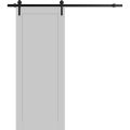 Sliding Barn Door Hardware | Quadro 4111 Matte Black | 6.6FT Rail Hangers Sturdy Set | Lite Wooden Solid Panel Interior Doors Matte Grey