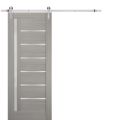 Sturdy Barn Door | Quadro 4088 Ginger Ash with Frosted Glass | Silver 6.6FT Rail Hangers Heavy Hardware Set | Solid Panel Interior Doors Ginger Ash