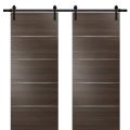 Sturdy Double Barn Door with | Planum 0020 Matte Black | 13FT Rail Hangers Heavy Set | Solid Panel Interior Doors Chocolate Ash