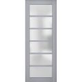 Slab Barn Door Panel Frosted Glass | Veregio 7602 Antracite | Sturdy Finished Doors | Pocket Closet Sliding-32" x 80" Matte Grey