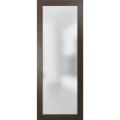 Slab Barn Door Panel | Planum 2102 Oak with Frosted Glass | Sturdy Finished Doors | Pocket Closet Sliding Chocolate Ash