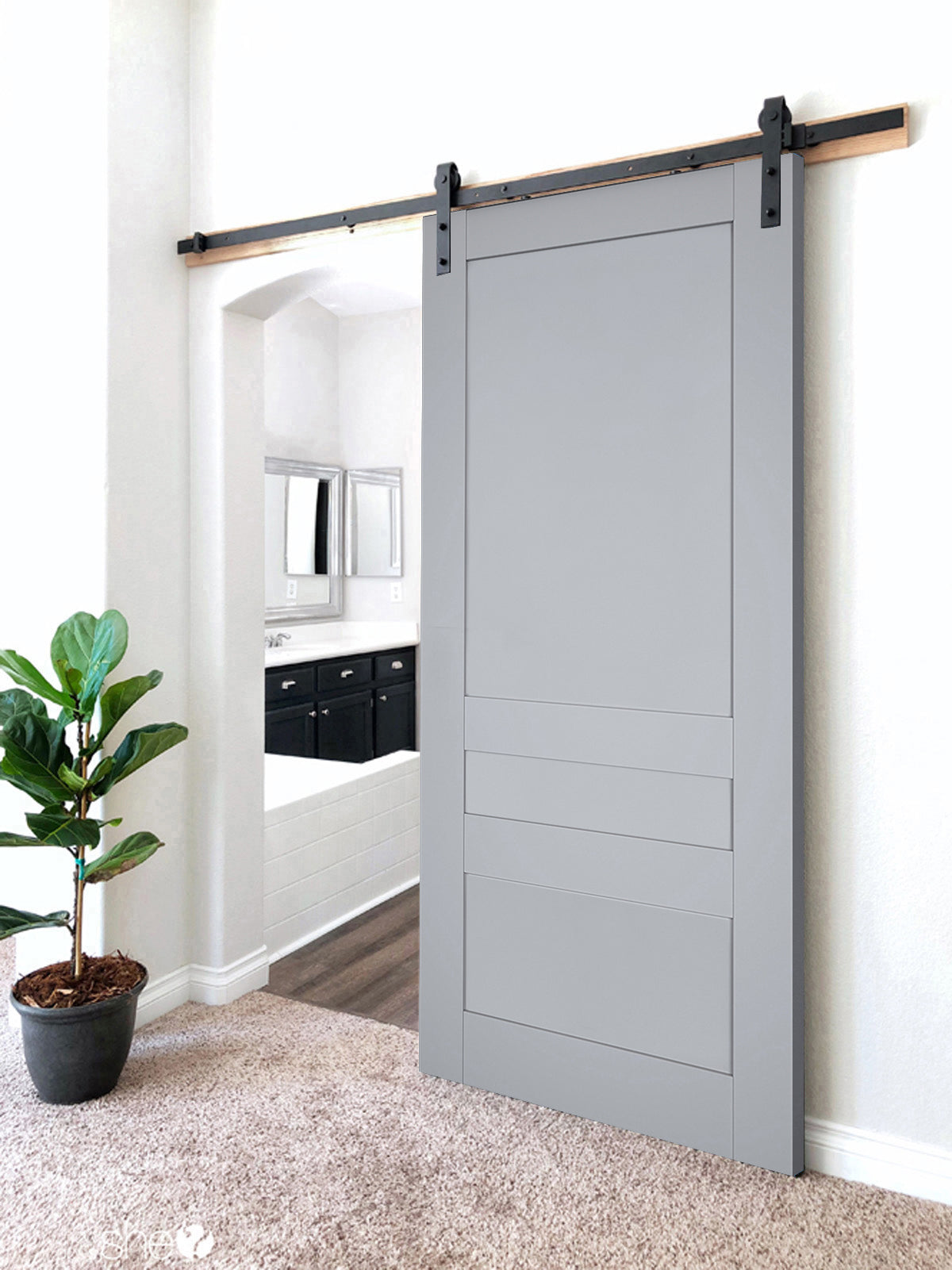 Model 7411 Barn door view 6