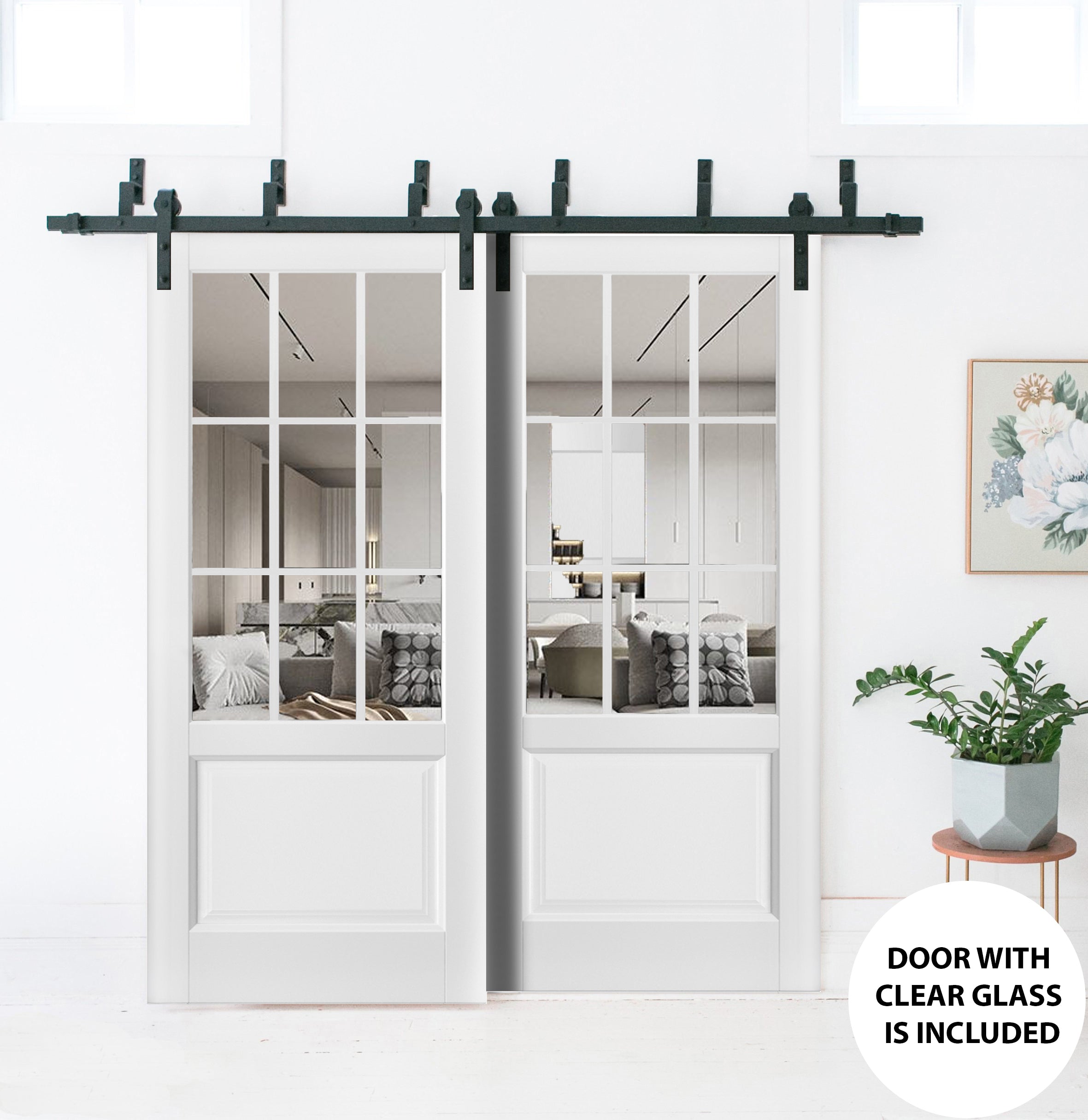 Felicia 3599 Double Barn — Bypass door view 2