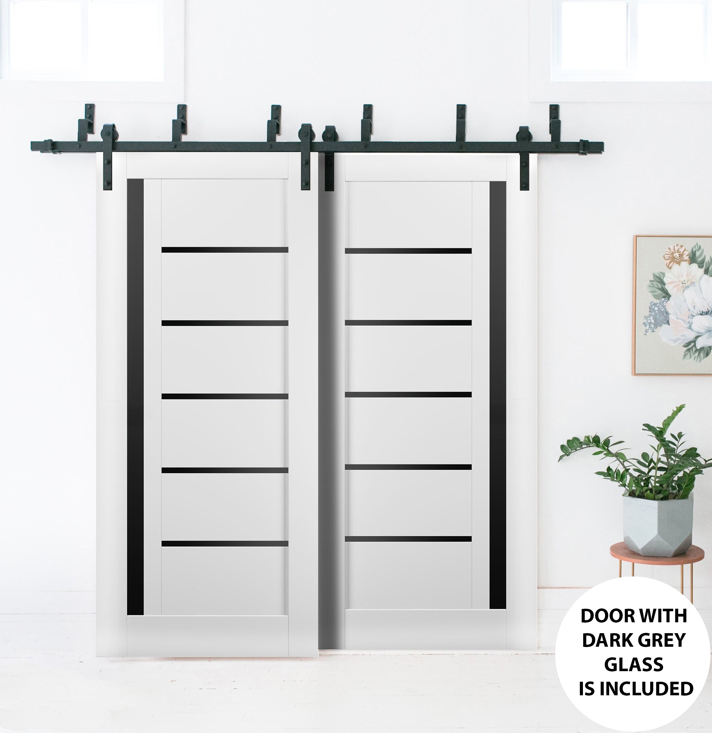 Quadro 4588 Double Barn — Bypass door view 2