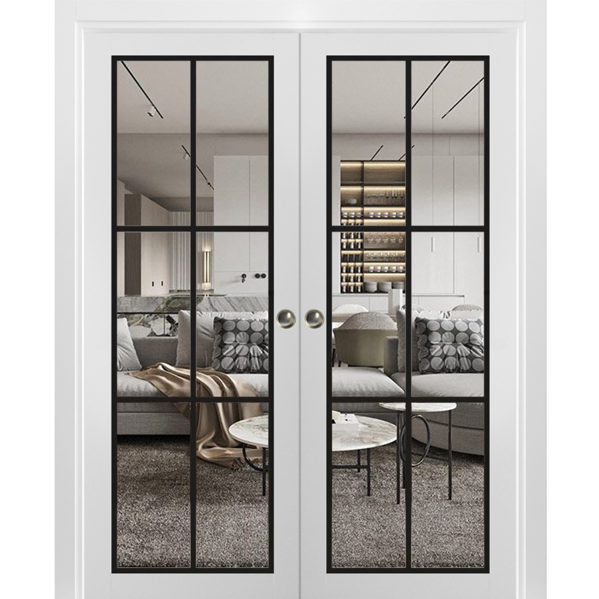 Lucia 2366 Double Pocket door view 5