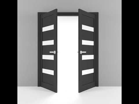 Quadro 4113 Double French Swing door view 3