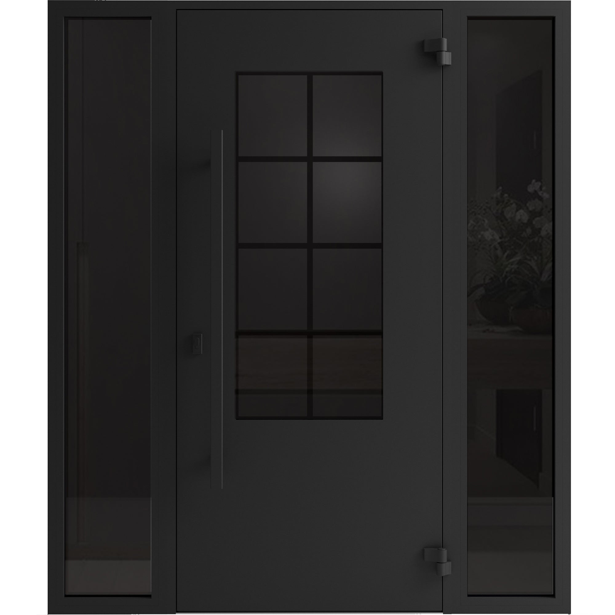Iron 0101 Iron door view 2