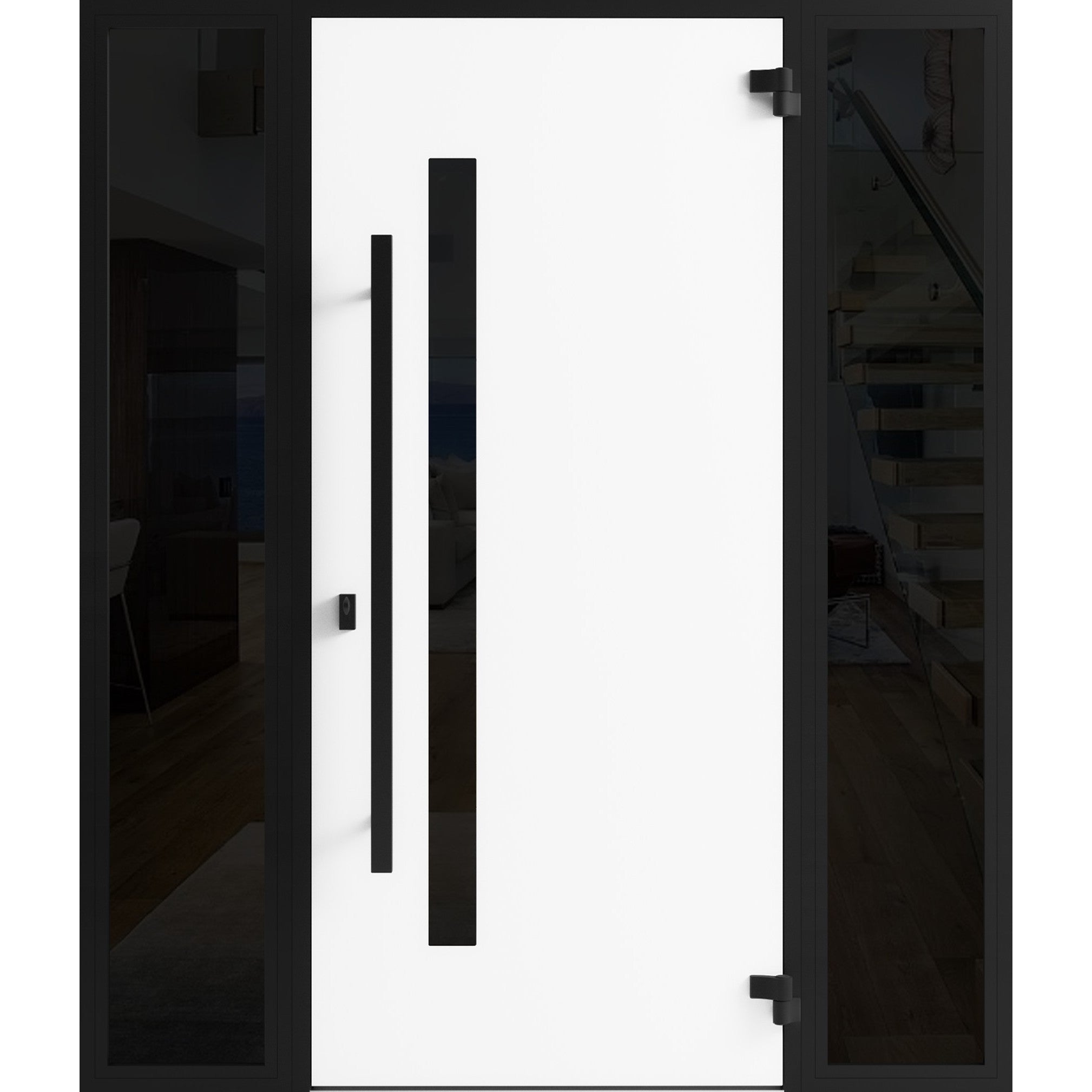 Ronex 0144 Exterior Aluminum door view 2