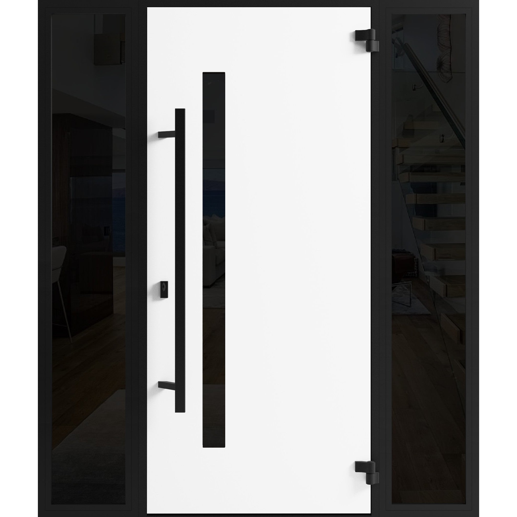 Ronex 0162 Exterior Aluminum door view 2