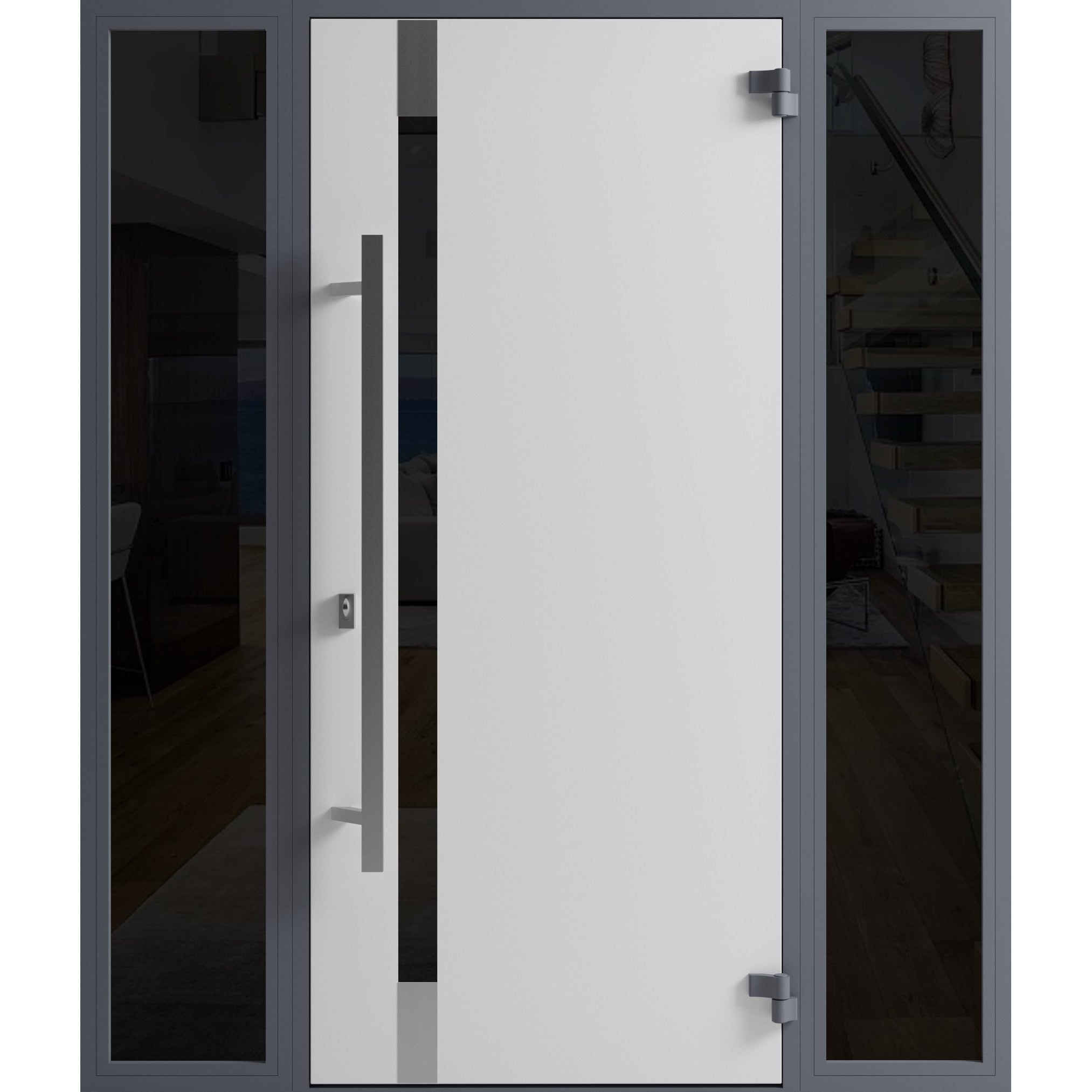 Ronex 1011 Exterior Aluminum door view 2