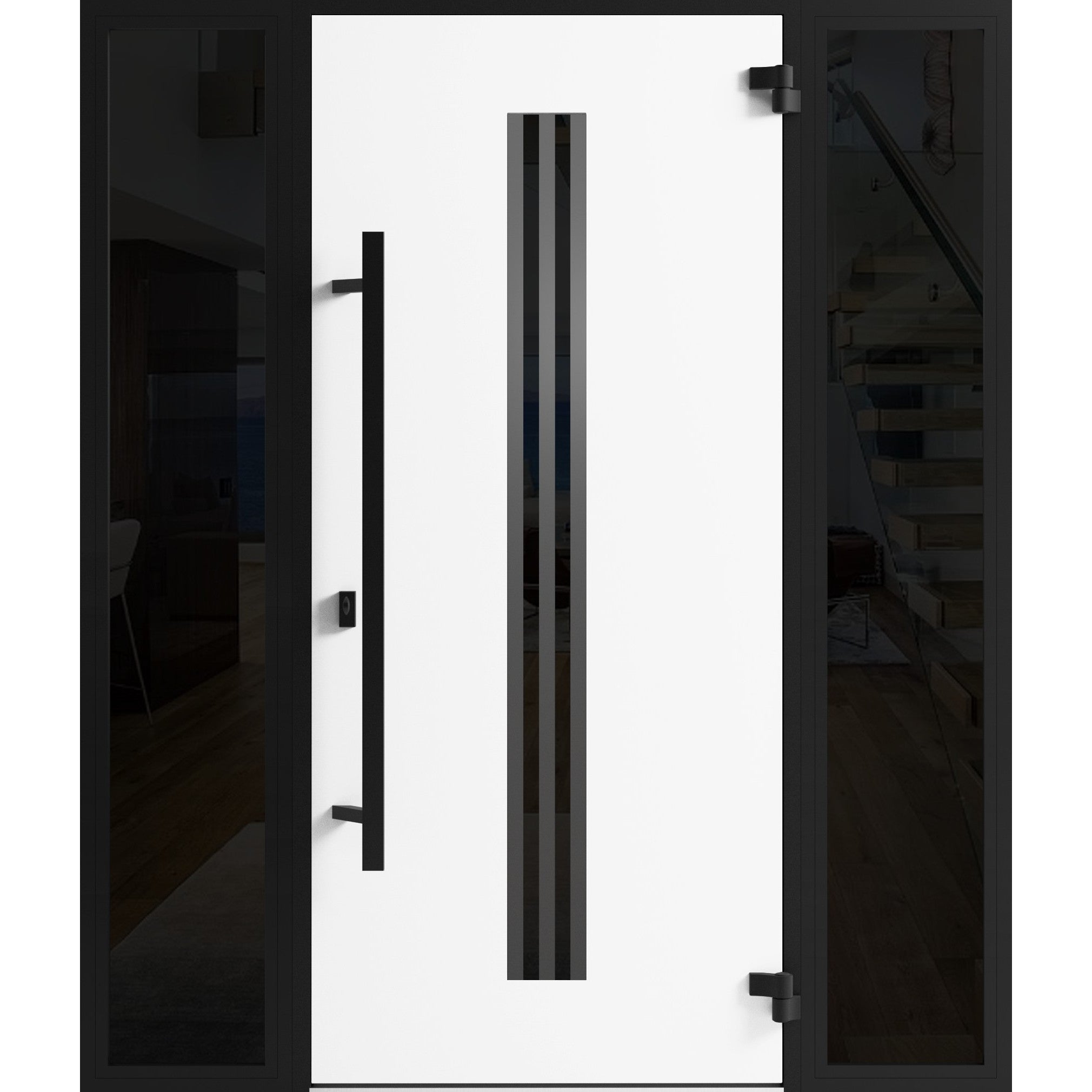 Ronex 1055 Exterior Aluminum door view 2