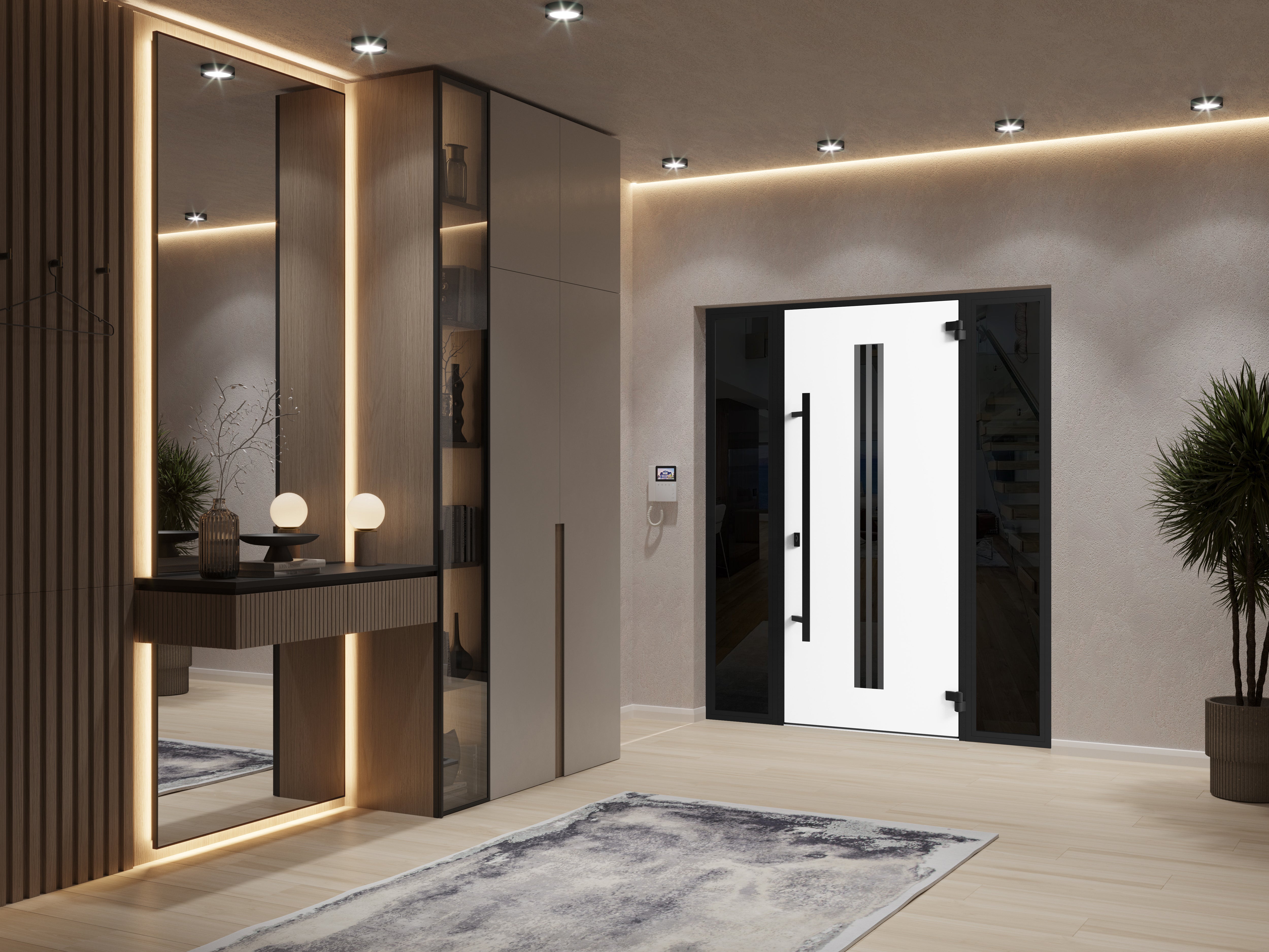 Ronex 1055 Exterior Aluminum door view 4