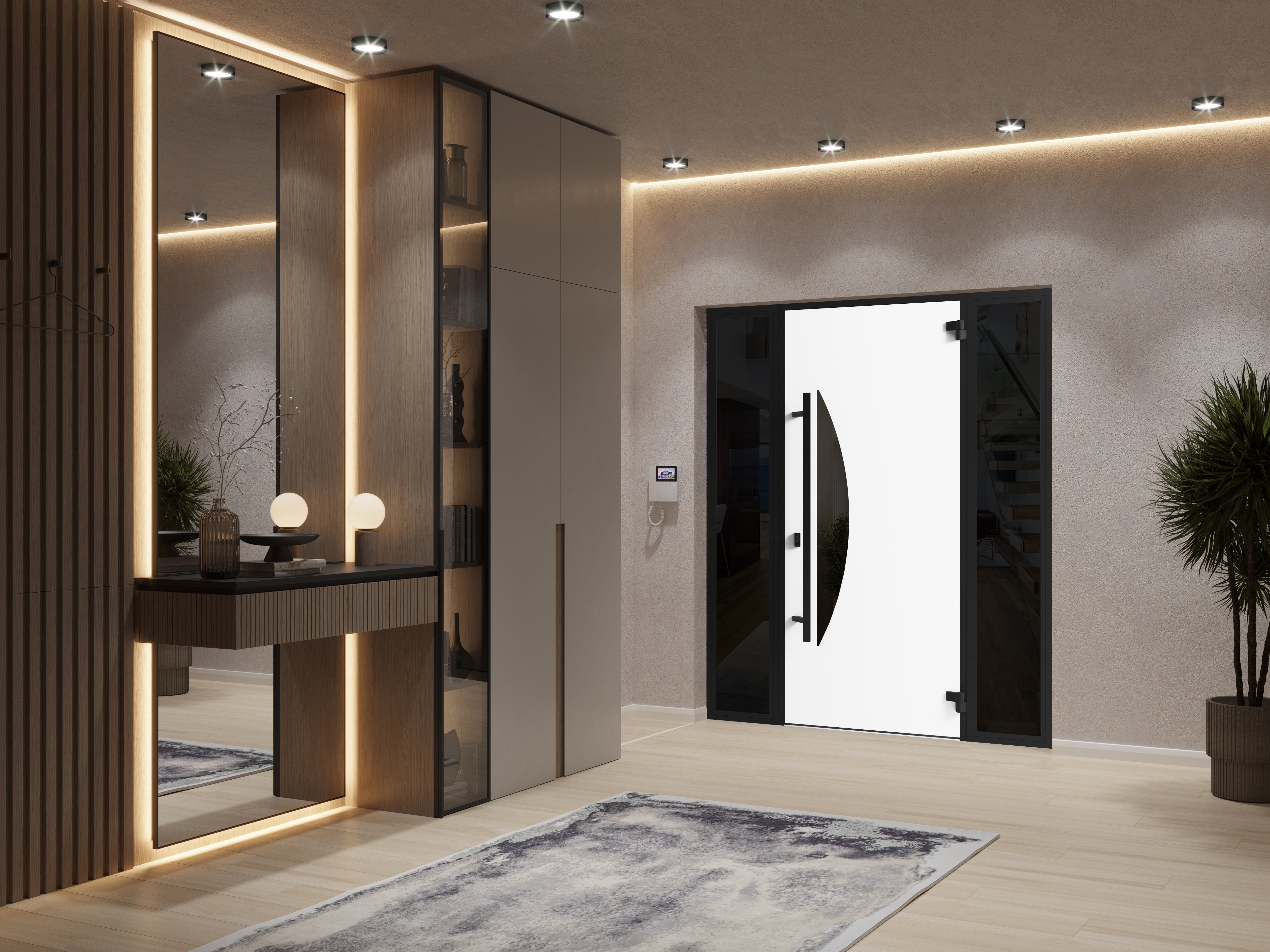 Ronex 1077 Exterior Aluminum door view 4