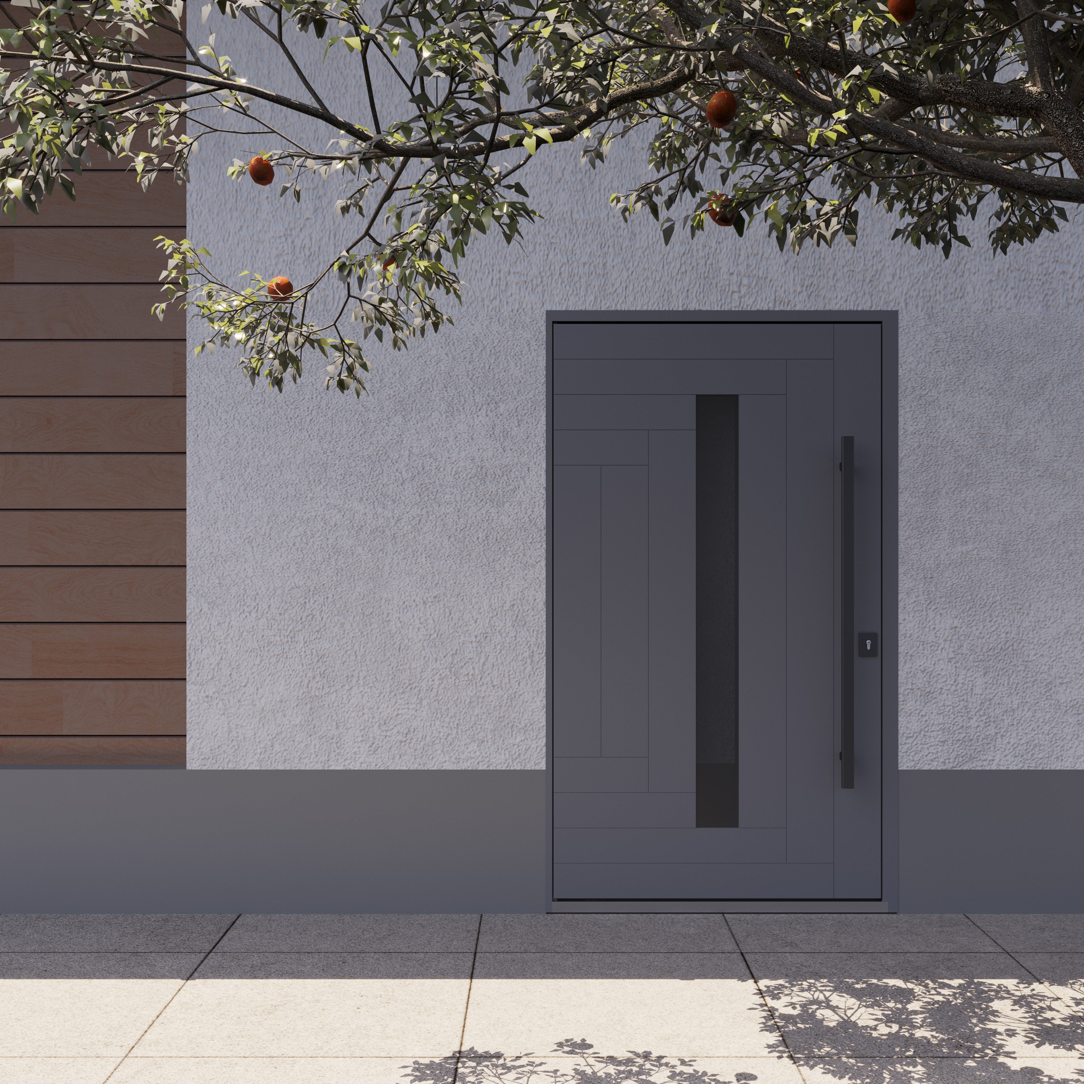 Axis 1130 Exterior Pivot door view 4