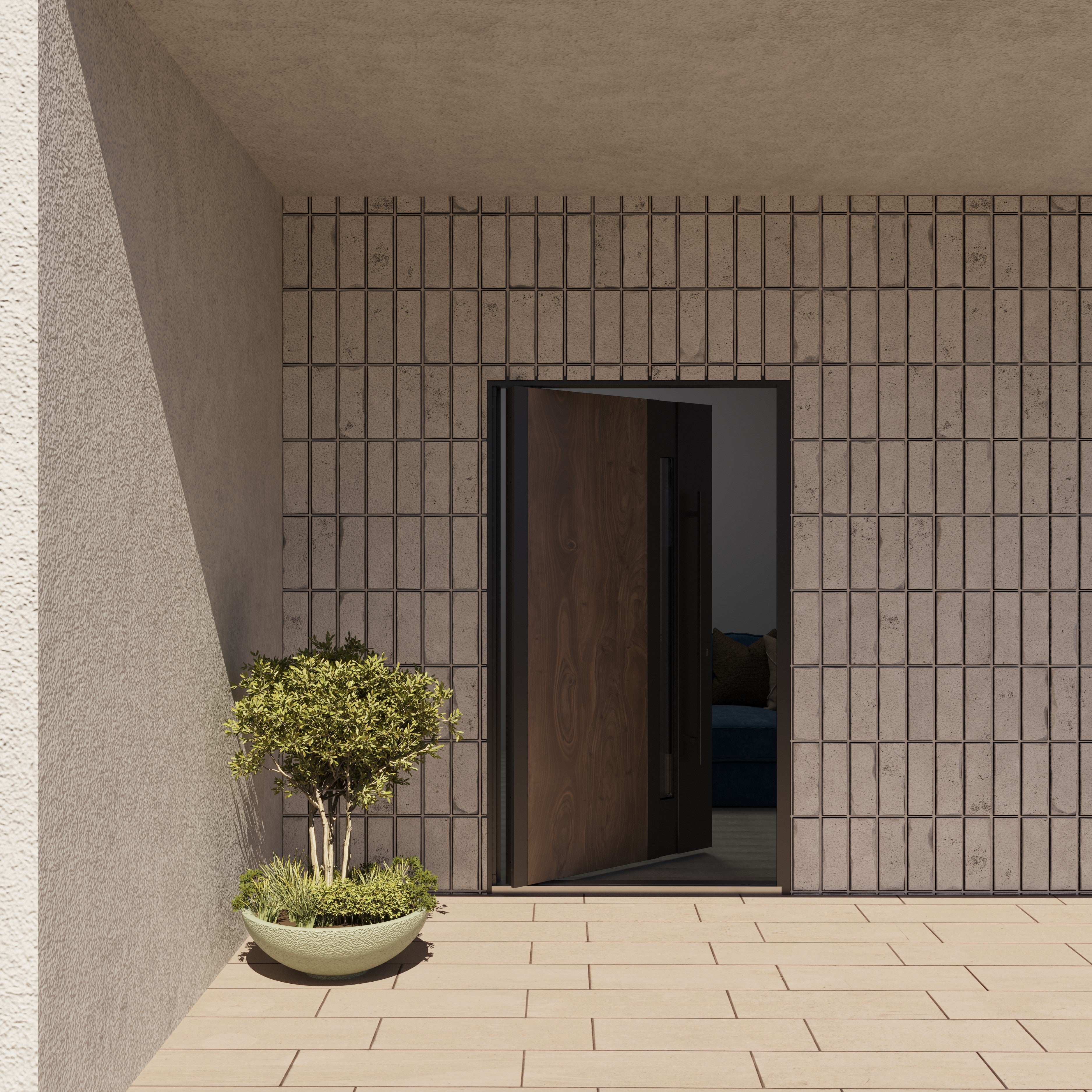 Axis 1163 Exterior Pivot door view 7