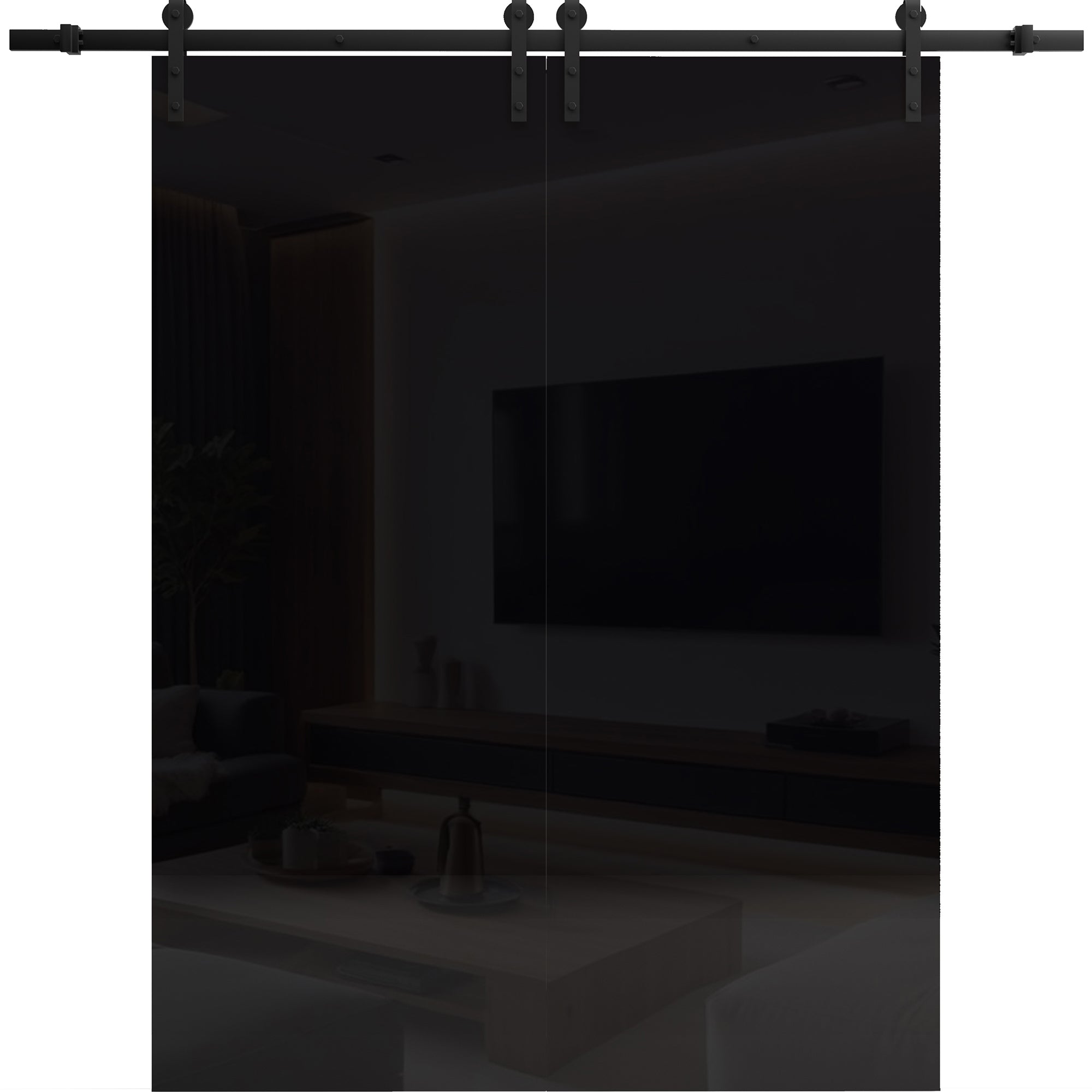 Planum 0010 Double Barn door — Doors Near Me, Los Angeles