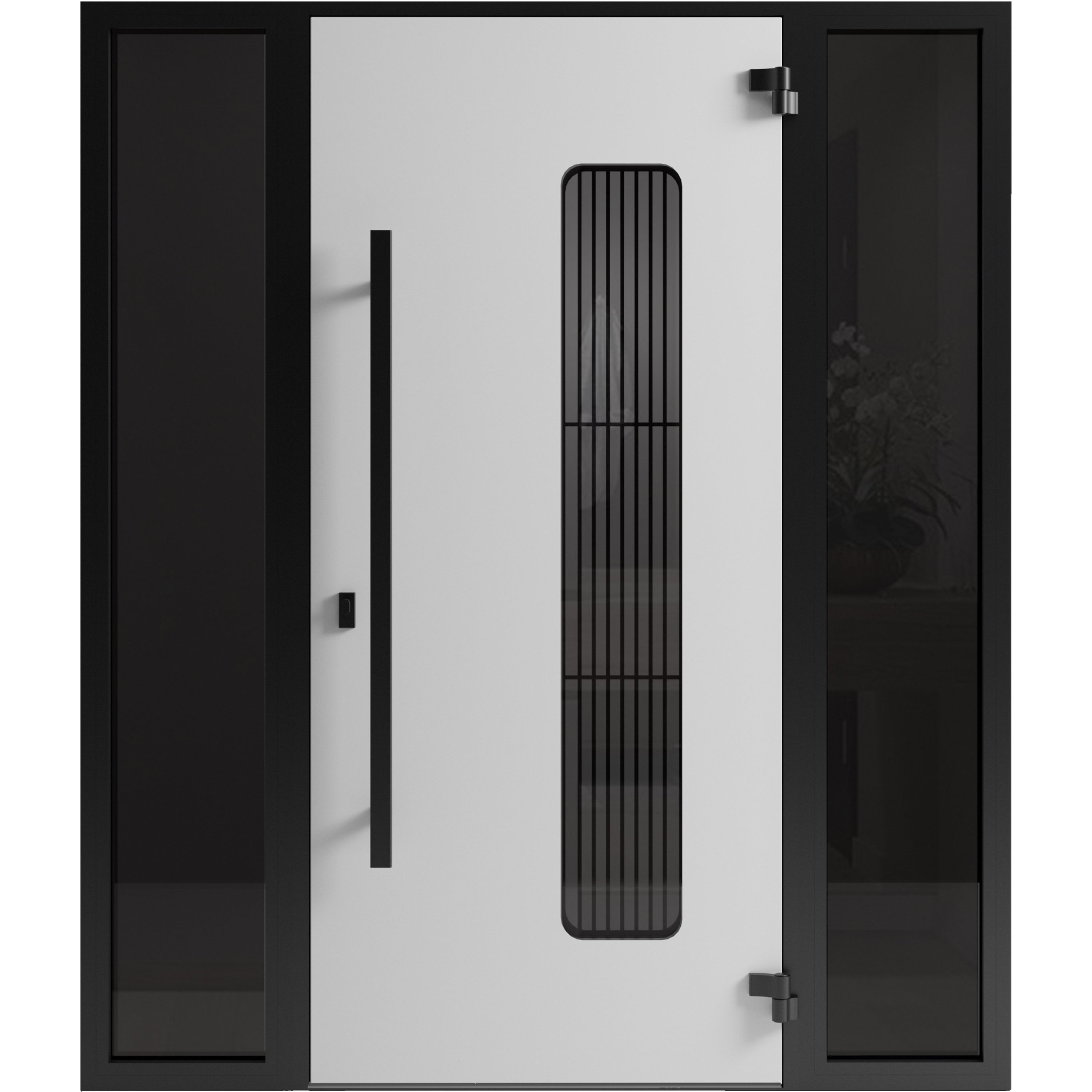 Ronex 0511 Exterior Aluminum door view 2