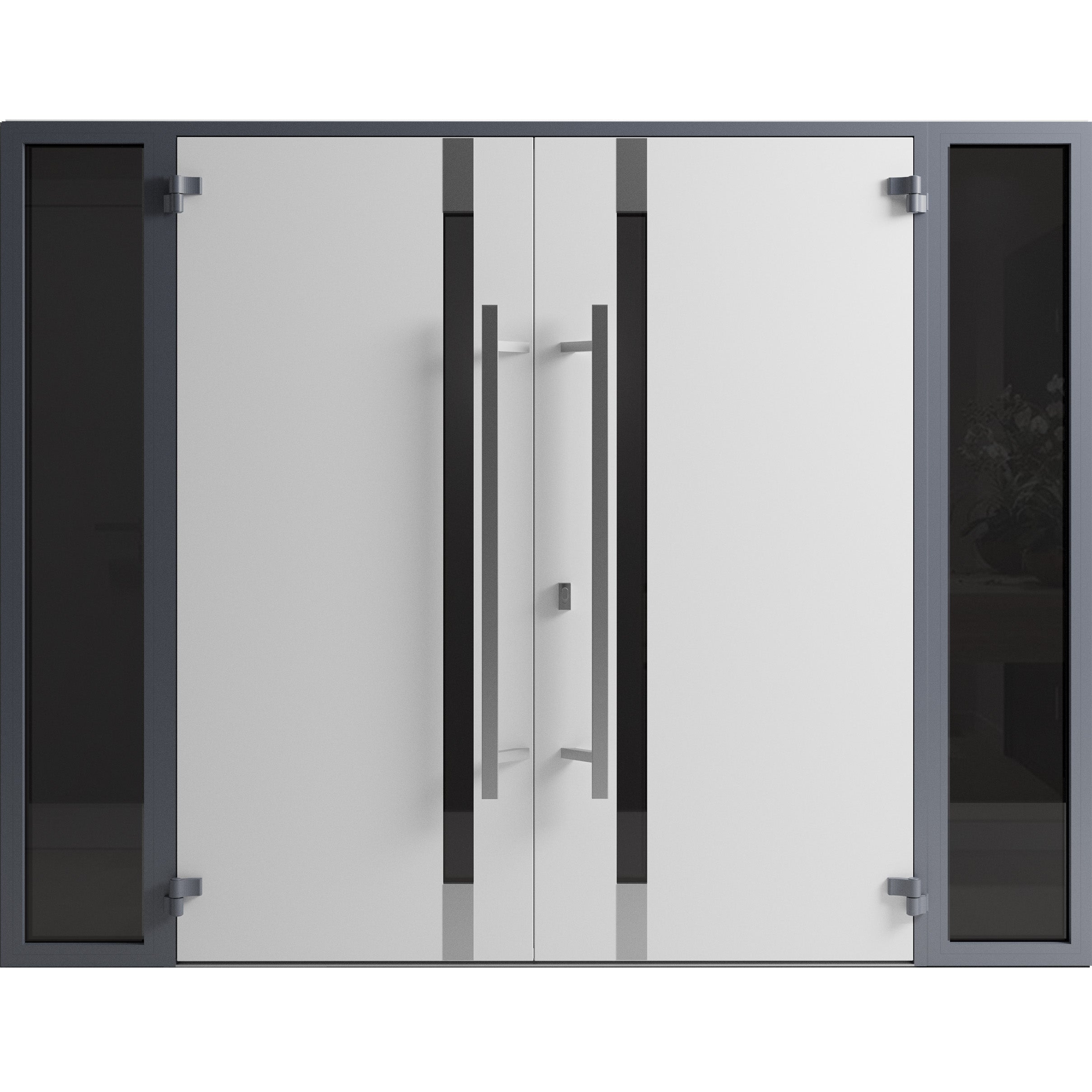 Ronex 1011 Exterior Aluminum Double door view 2