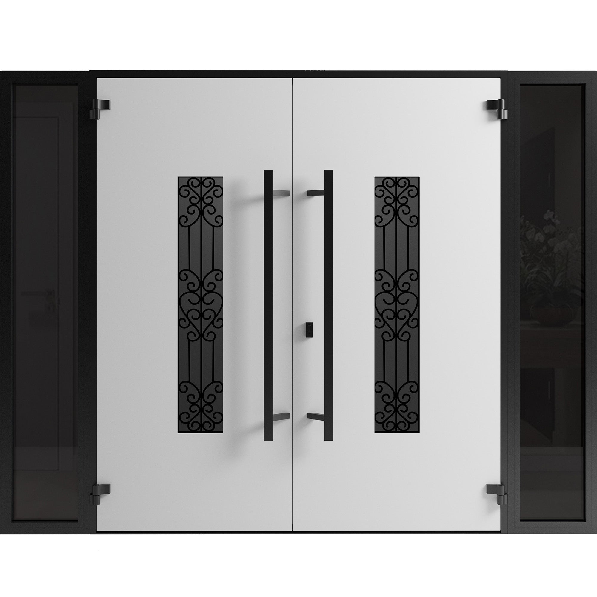 Ronex 1205 Exterior Aluminum Double door view 2
