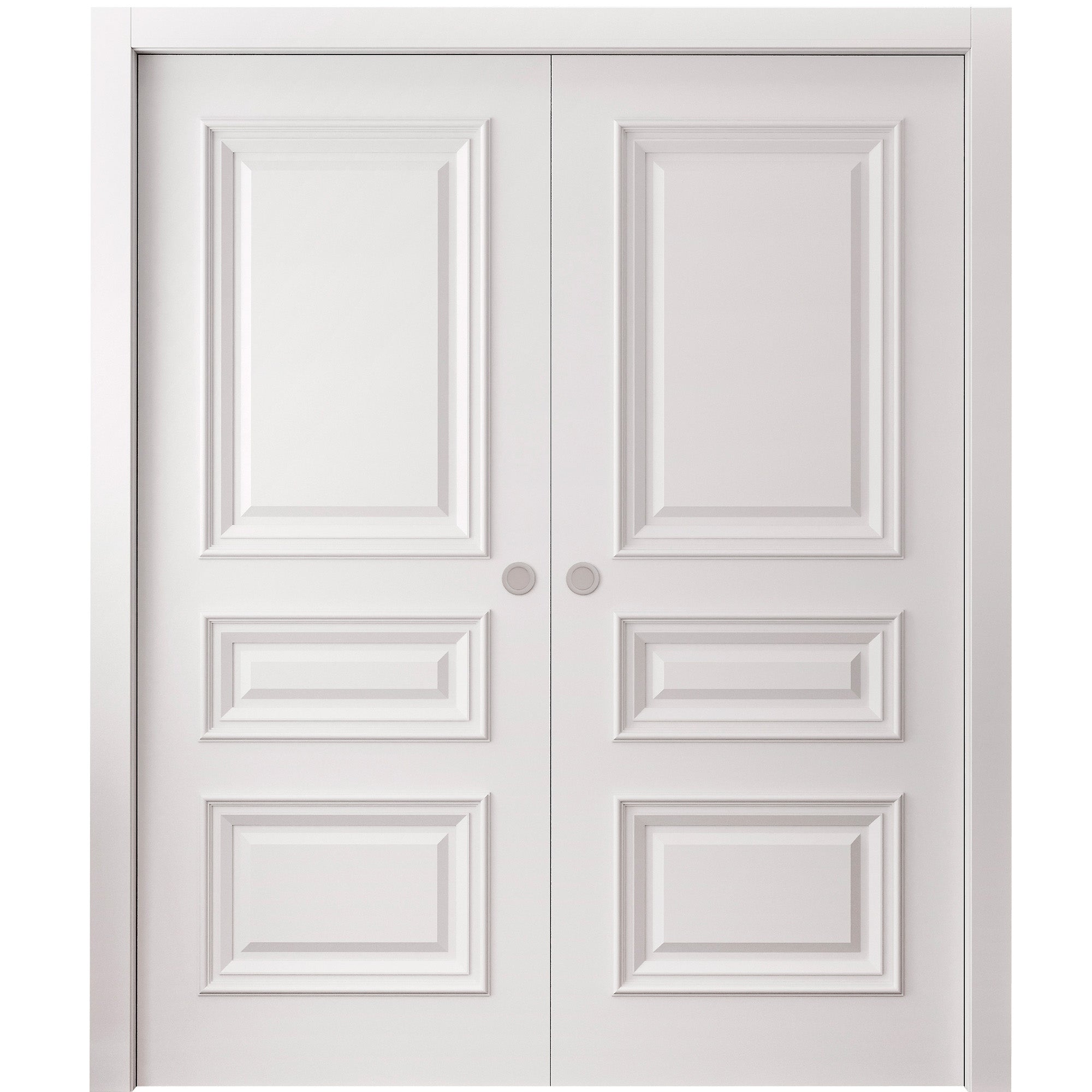 Royal 9833 Double Pocket door — Doors Near Me, Los Angeles