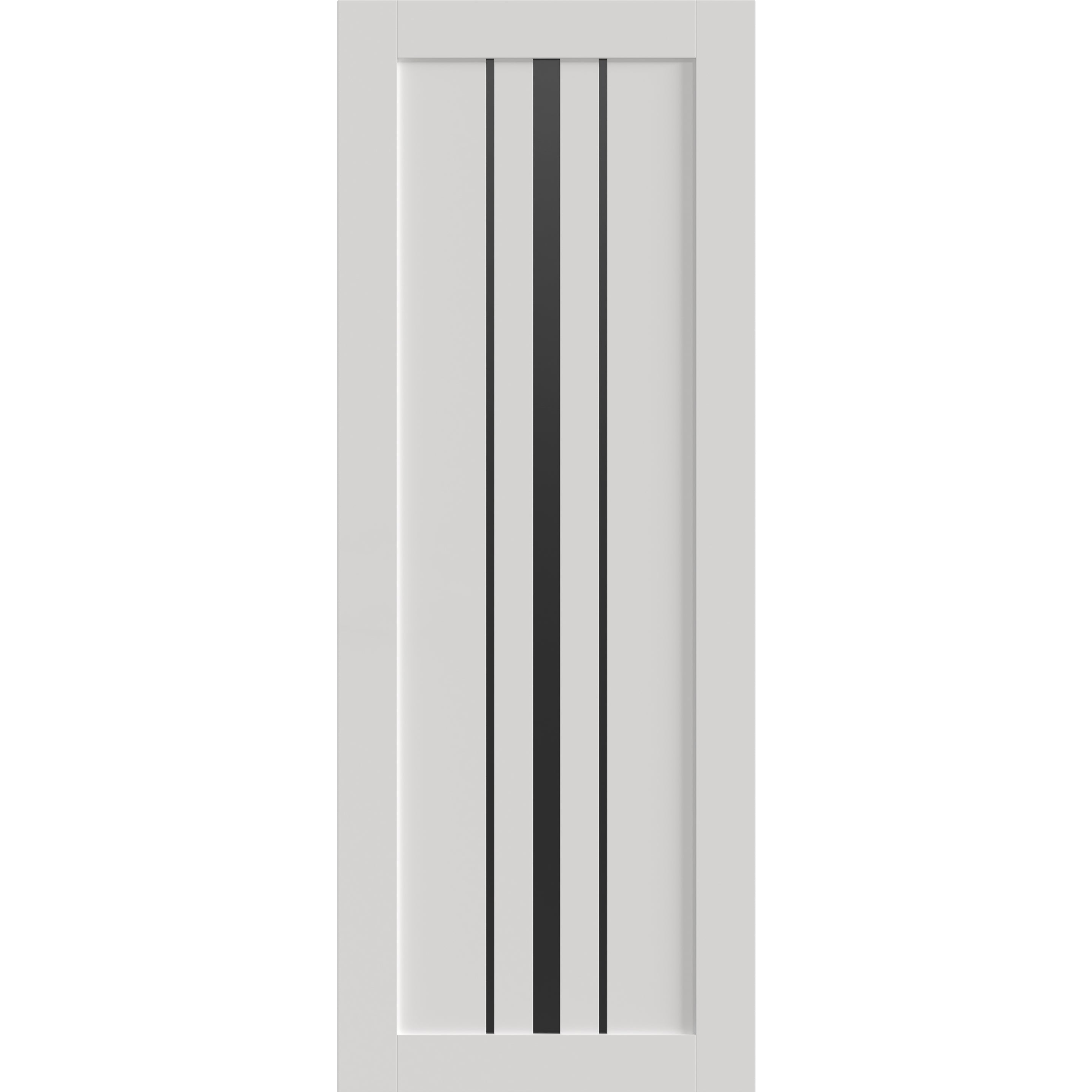 Basic 4903 Interior Slab door view 4