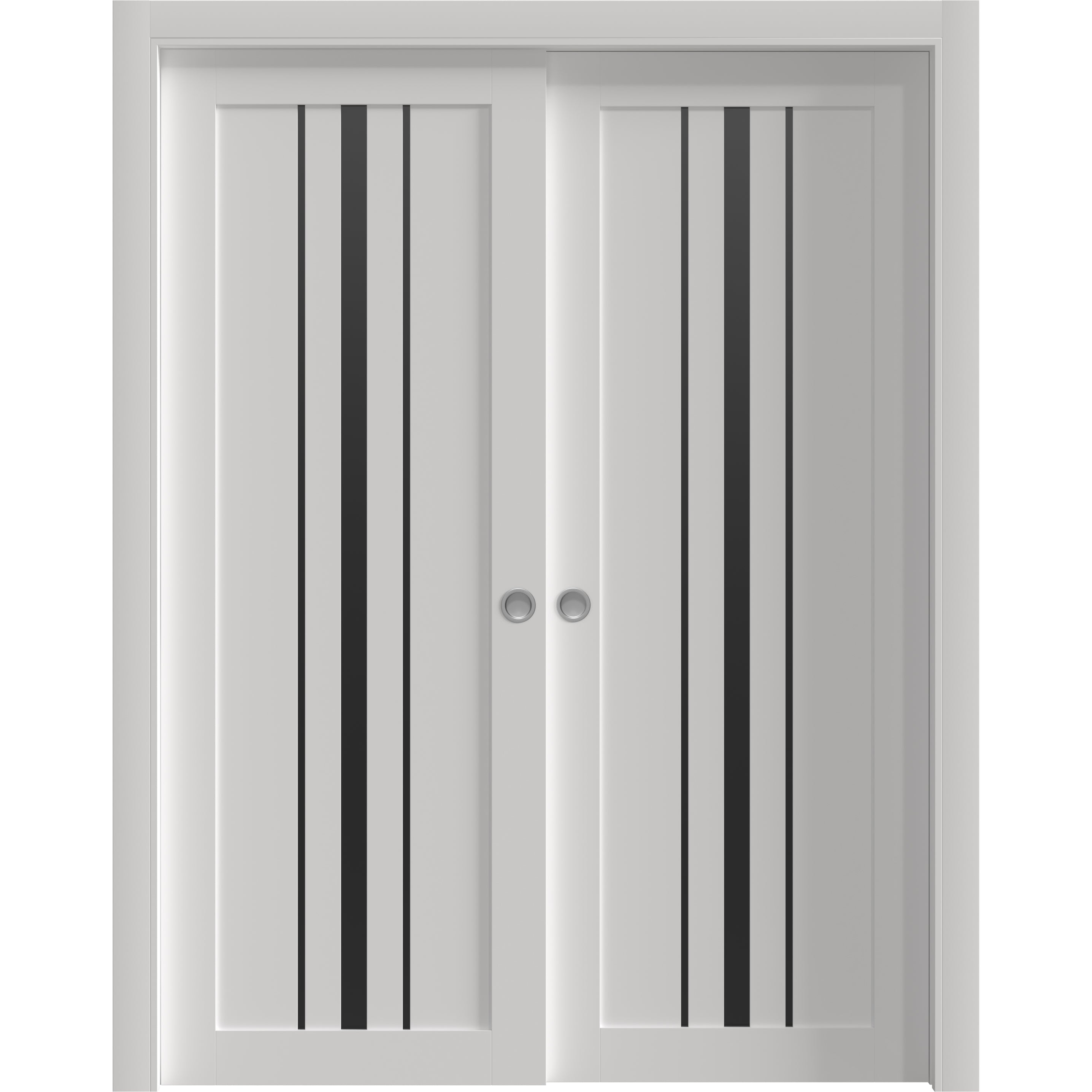 Basic 4903 Bypass door — Doors Near Me, Los Angeles