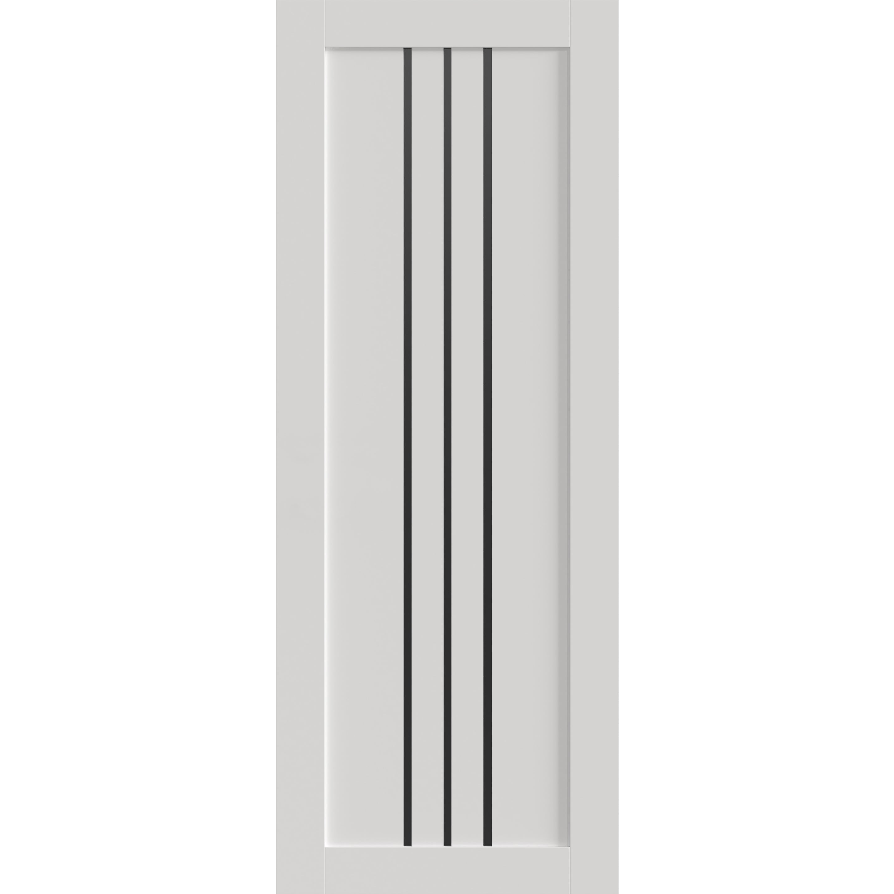 Basic 4906 Interior Slab door