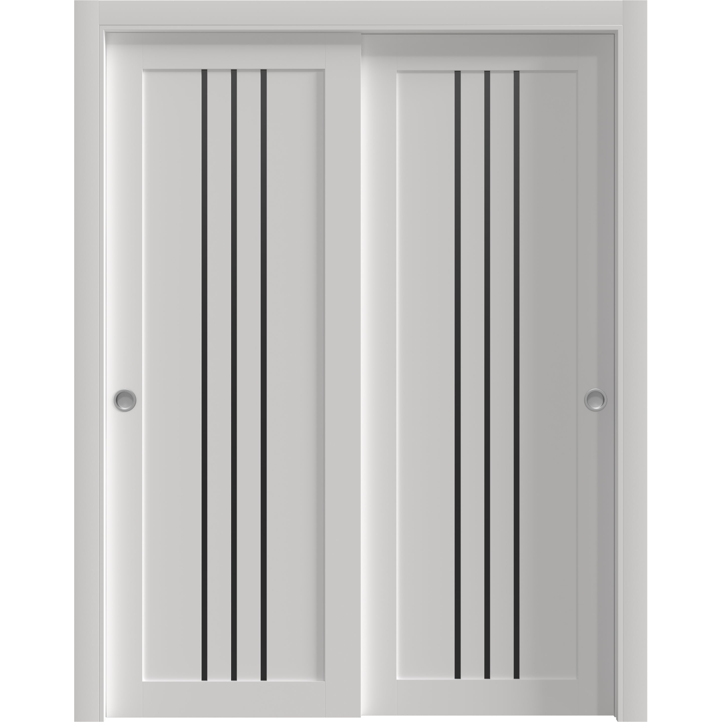 Basic 4906 Bypass door — Doors Near Me, Los Angeles