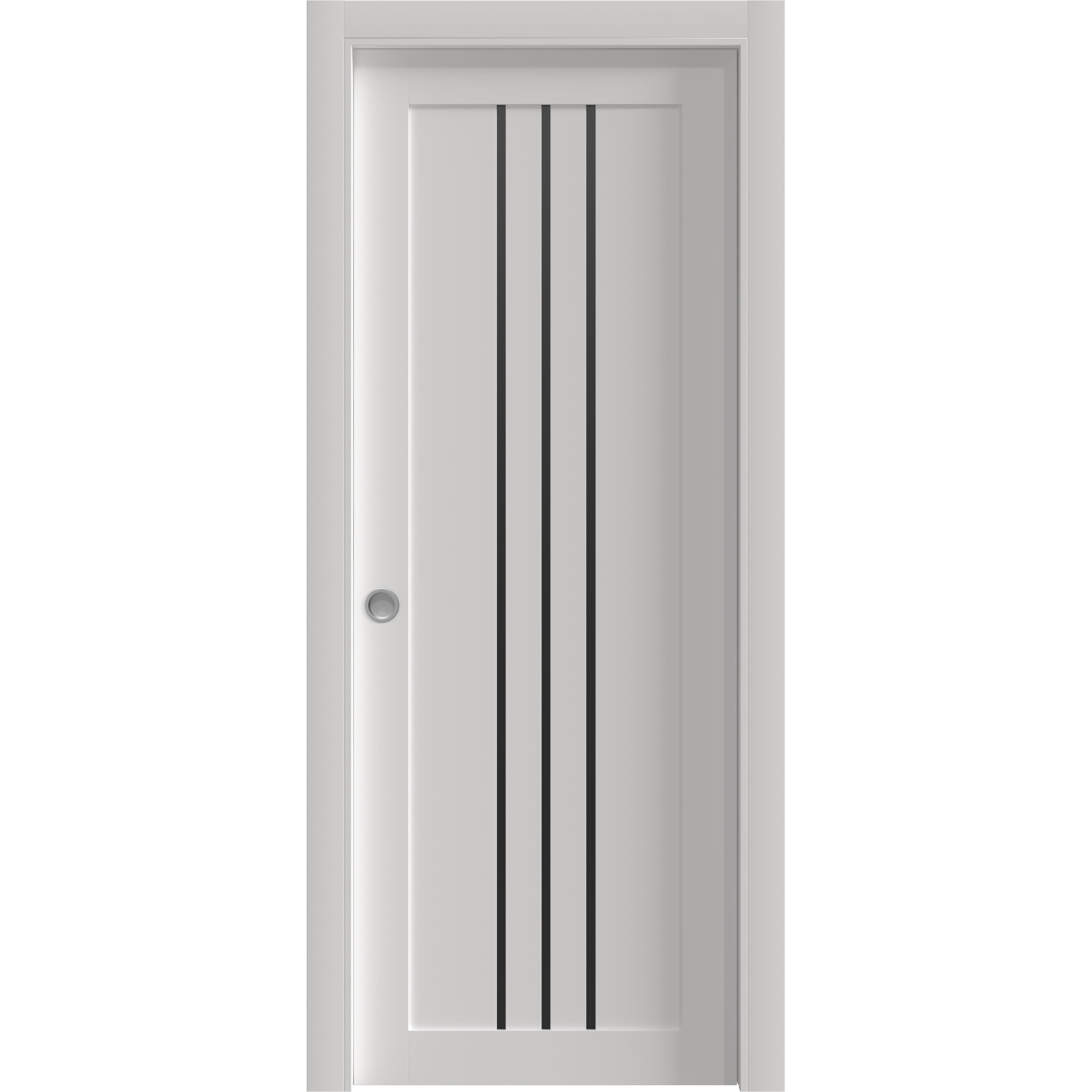 Basic 4906 Pocket door — Doors Near Me, Los Angeles