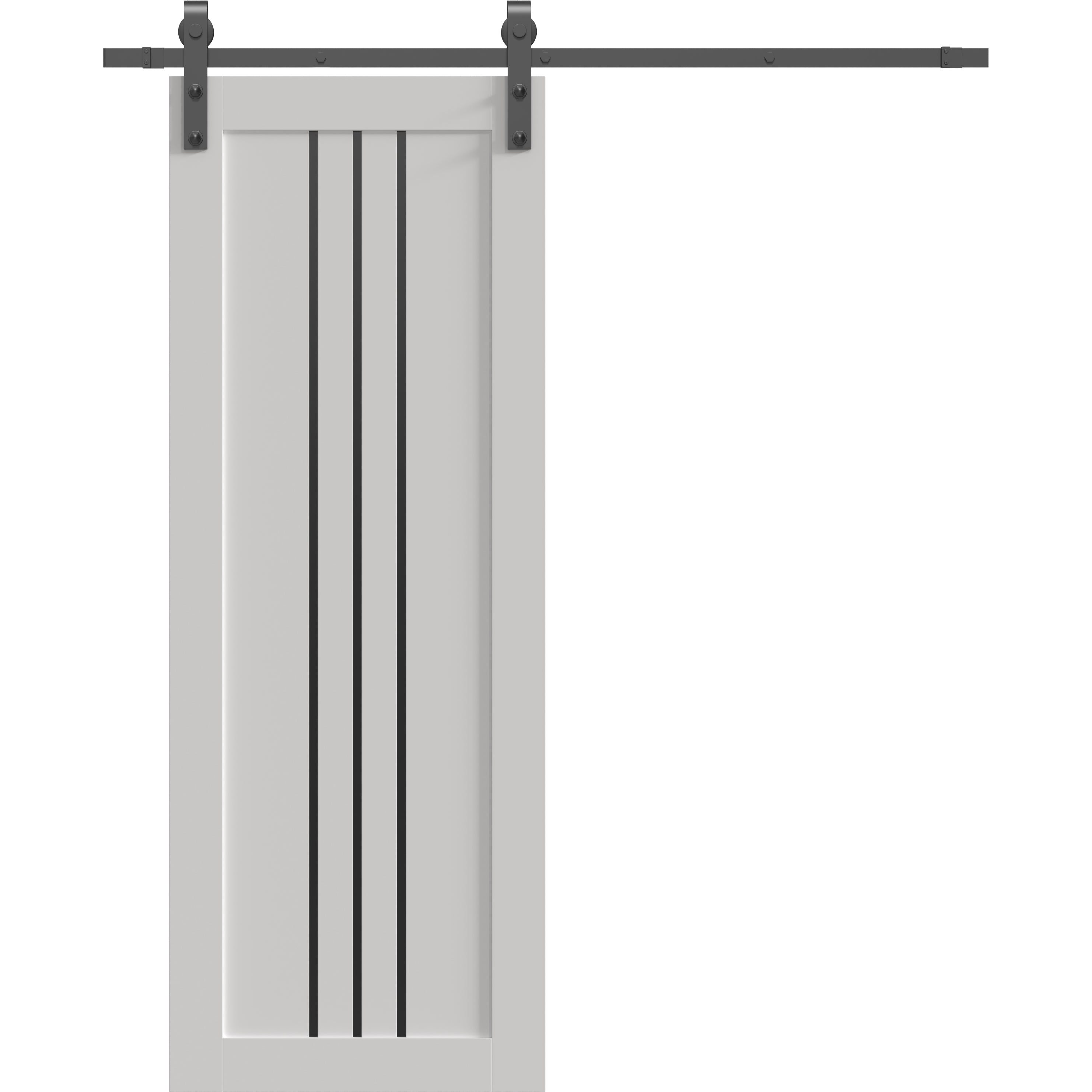 Basic 4906 Barn door — Doors Near Me, Los Angeles