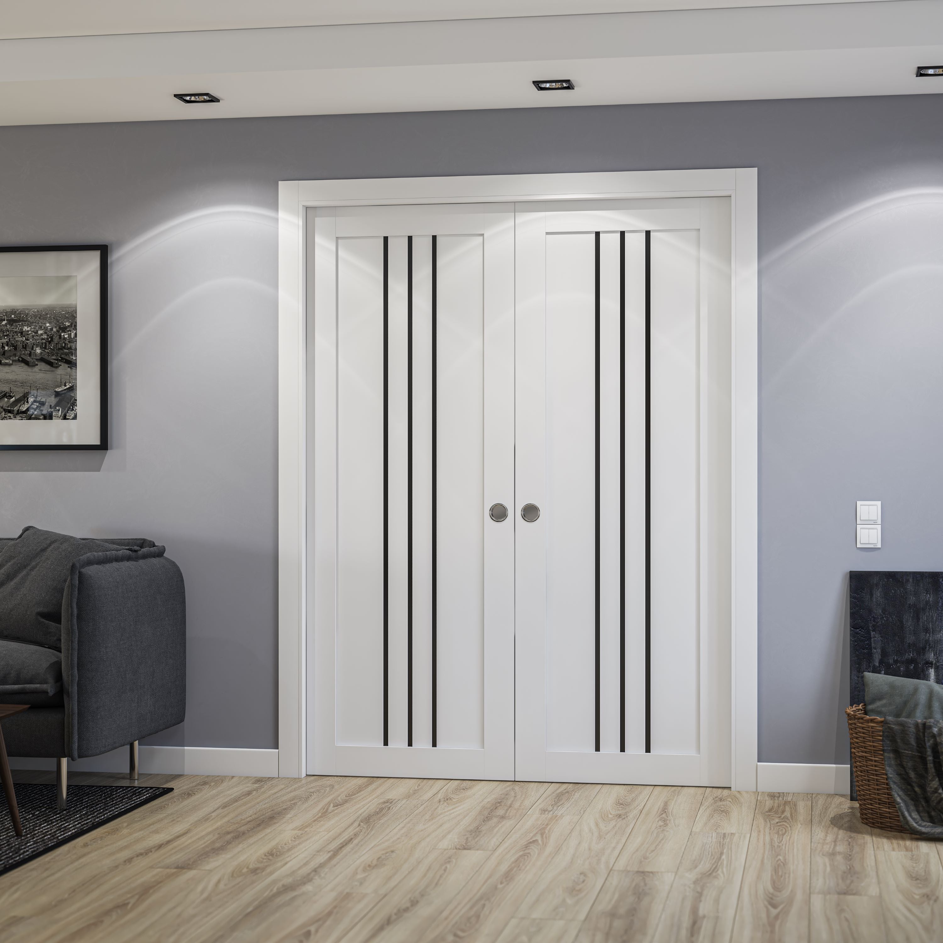 Basic 4906 Double Pocket door view 2