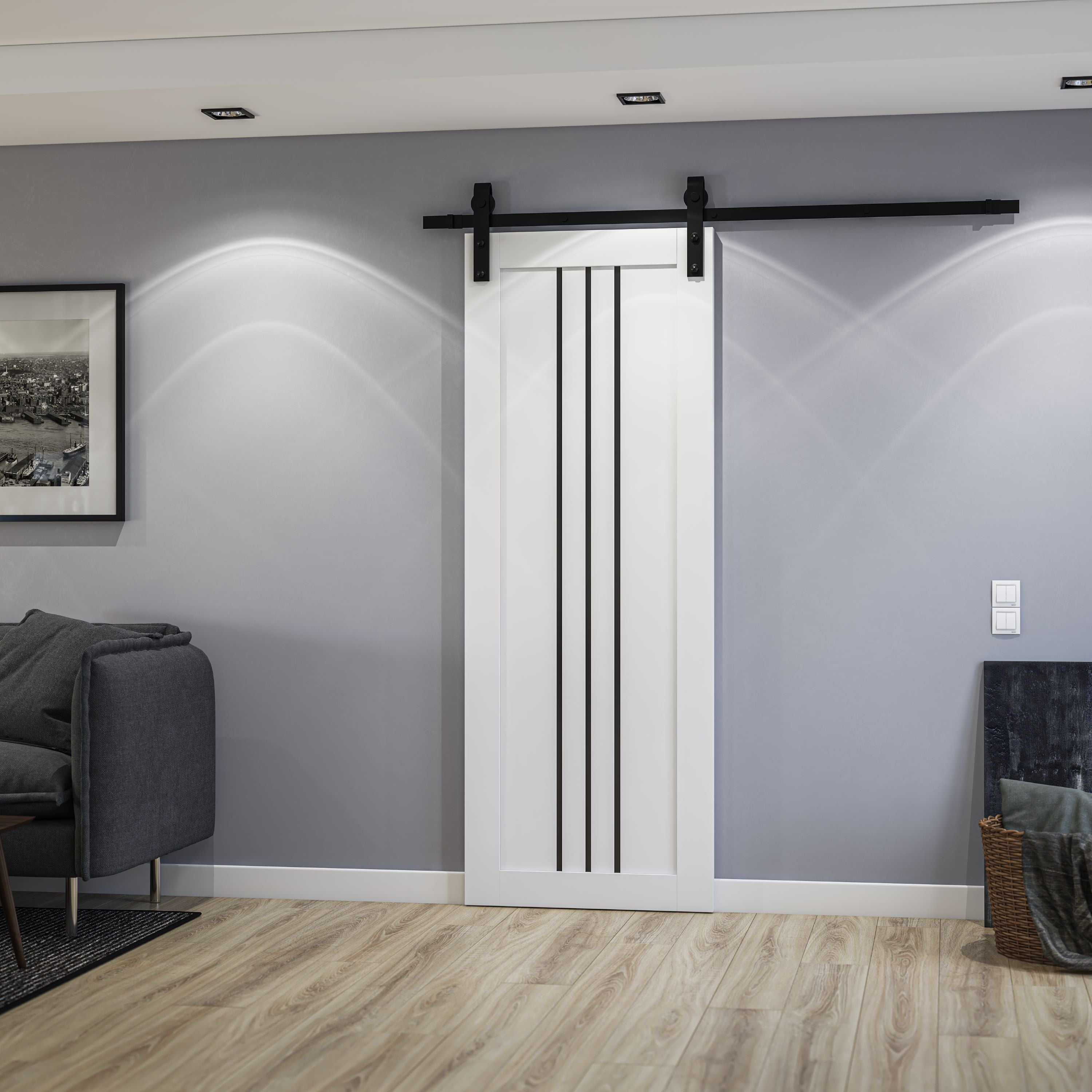Basic 4906 Barn door view 2