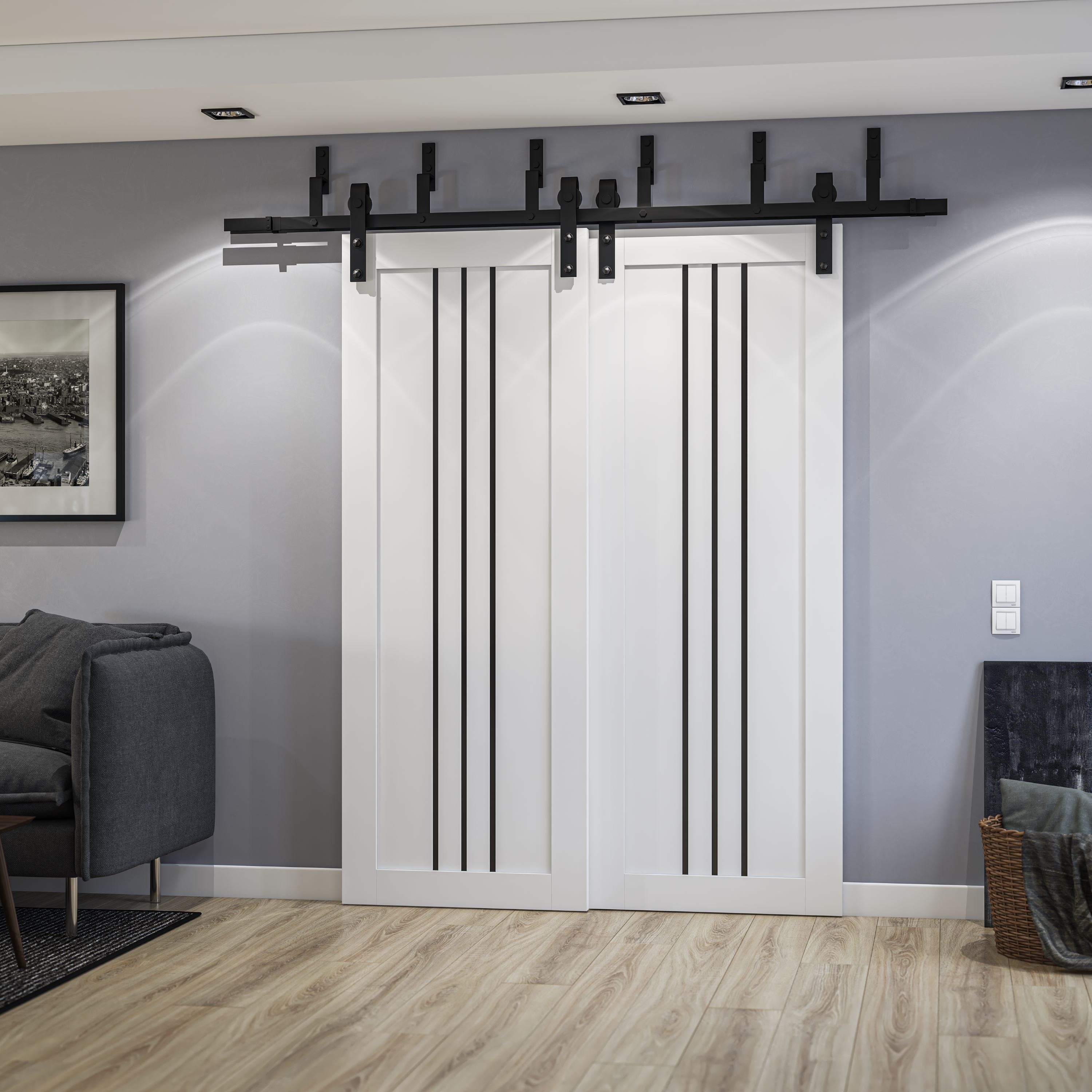 Basic 4906 Double Barn — Bypass door view 2