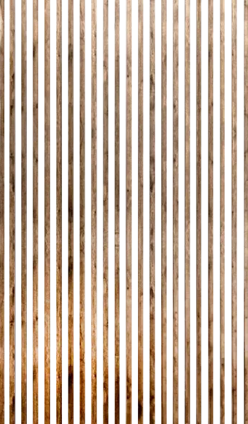 Decorative wood panels for walls
