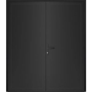 Front Exterior Prehung Metal-Plastic Double Doors / MANUX 8111 Matte Black / Office Commercial and Residential Doors Entrance Patio Garage 72" x 80" Right-Hand