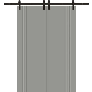 Modern Double Barn Door 36 x 80 inches | BASIC 0111 Dove Grey | 13FT Rail Track Set | Solid Panel Interior Doors