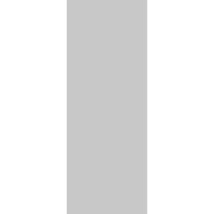Slab Barn Door Panel | Planum 0010 Matte Grey | Sturdy Finished Flush Modern Doors | Pocket Closet Sliding