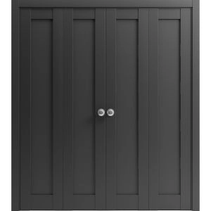 Sliding Closet Double Bi-fold Doors | Quadro 4111 Matte Black with Glass | Sturdy Tracks Moldings Trims Hardware Set | Wood Solid Bedroom Wardrobe Doors 