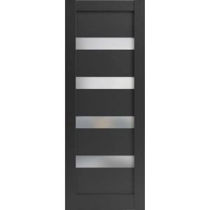 Lite Slab Barn Door Panel | Quadro 4113 Matte Black with Frosted Glass | Sturdy Finished Wooden Modern Doors | Pocket Closet Sliding