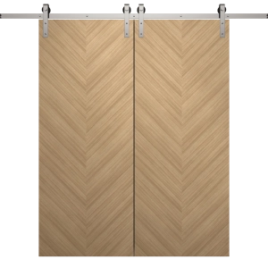 Modern Double Barn Door 36 x 80 inches | Ego 5005 Natural Oak | 13FT Silver Rail Track Set | Solid Panel Interior Doors