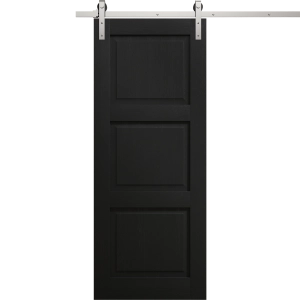 Modern Barn Door 18 x 80 inches | Ego 5010 Painted Black Oak | 6.6FT Silver Rail Track Heavy Hardware Set | Solid Panel Interior Doors