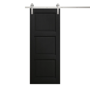 Modern Barn Door 32 x 80 inches | Ego 5010 Painted Black Oak | 6.6FT Silver Rail Track Heavy Hardware Set | Solid Panel Interior Doors